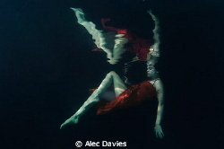 Elsa shot in pool by Alec Davies 